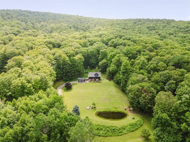 506 Beshroner Rd, Prattsville, NY 12468