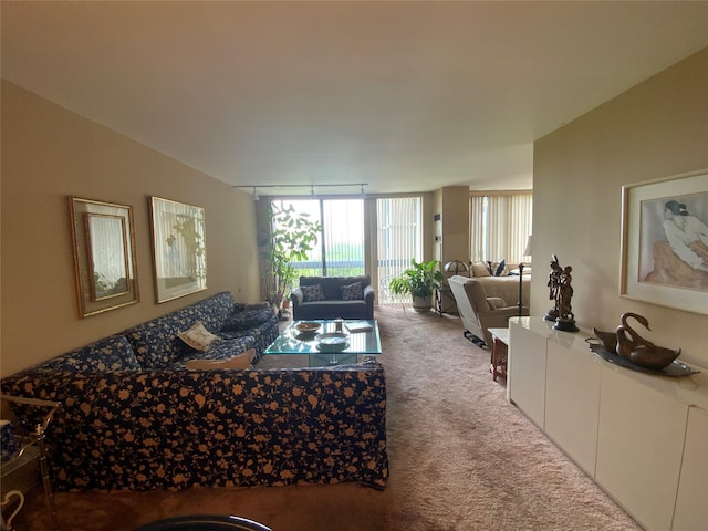 27110 Grand Central Pkwy Unit 5A, Floral Park, NY 11005 - living area featuring carpet