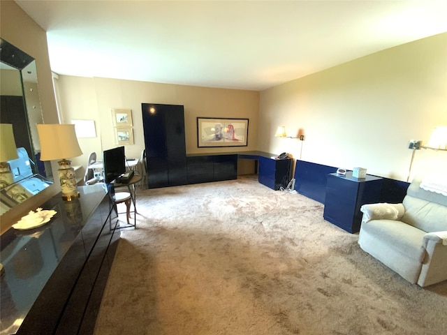 27110 Grand Central Pkwy Unit 5A, Floral Park, NY 11005 - living area featuring carpet