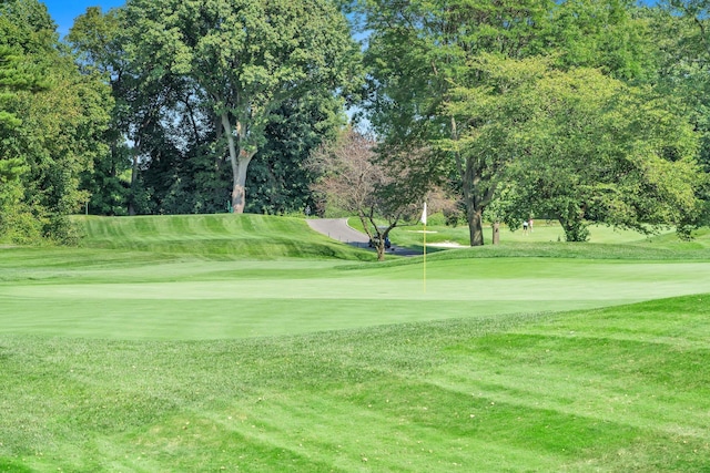 27110 Grand Central Pkwy Unit 5A, Floral Park, NY 11005 - surrounding community featuring view of scattered trees, a yard, and view of golf course