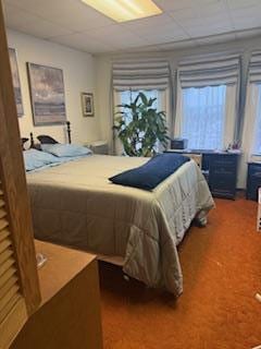 8602 89th St, Woodhaven, NY 11421 - bedroom featuring a paneled ceiling