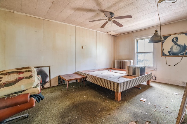 50 Maple St, Catskill, NY 12414 - bedroom with radiator