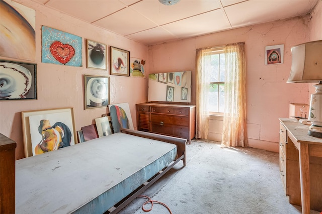 50 Maple St, Catskill, NY 12414 - view of carpeted bedroom