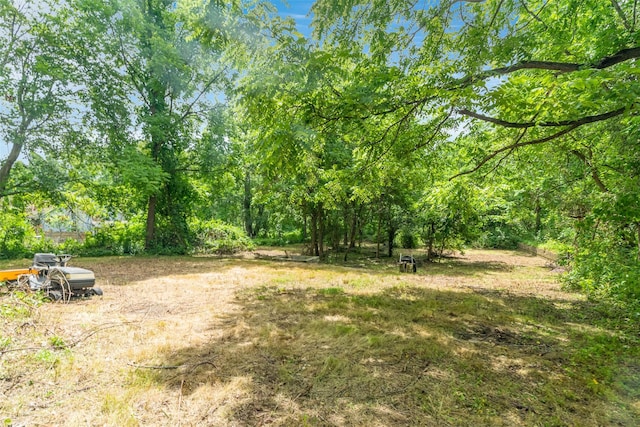 50 Maple St, Catskill, NY 12414 - view of yard