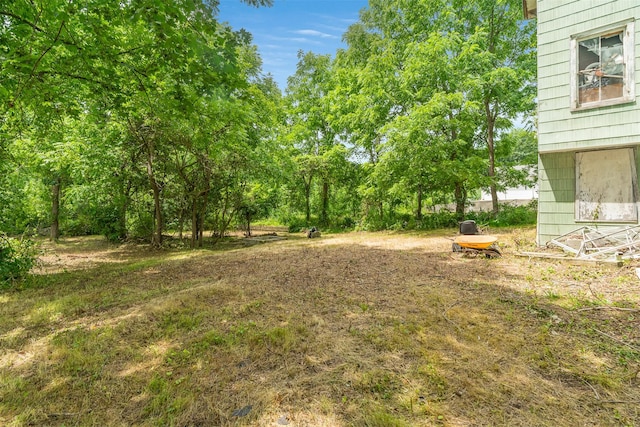 50 Maple St, Catskill, NY 12414 - view of yard
