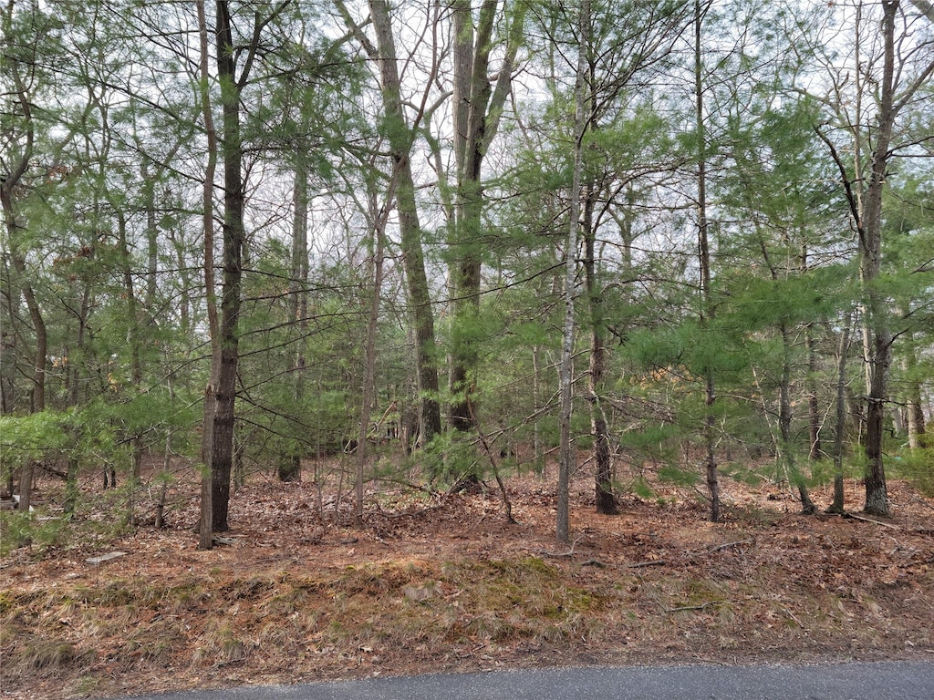 Lake Ter, Middle Island, NY 11953 - photo 1