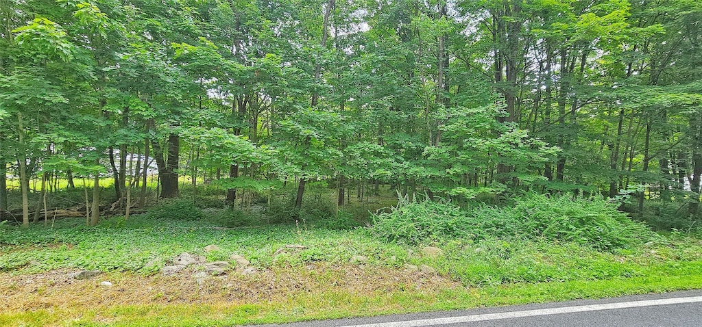 S Plank Rd, Westtown, NY 10998 - photo 1