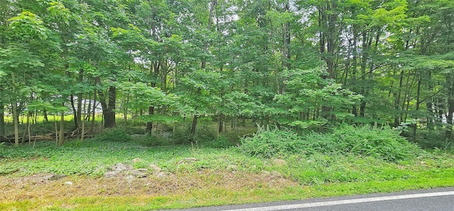 S Plank Rd, Westtown, NY 10998 - photo 1