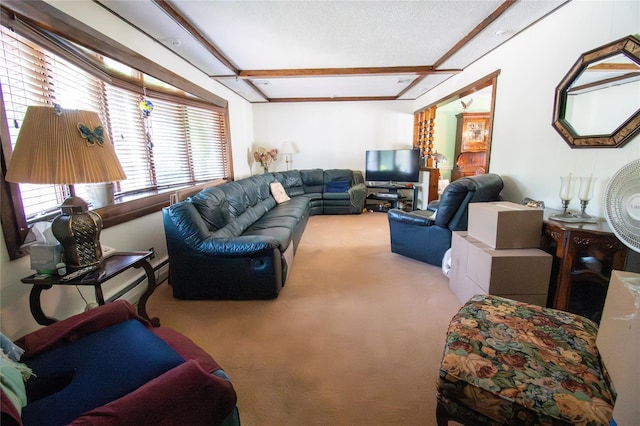 2083 Elm Pl, Merrick, NY 11566 - view of carpeted living room