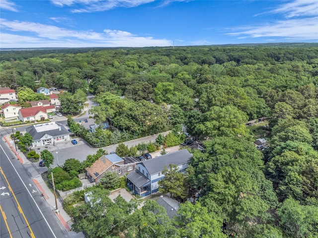 715 Flanders Rd, Flanders, NY 11901 - photo 2