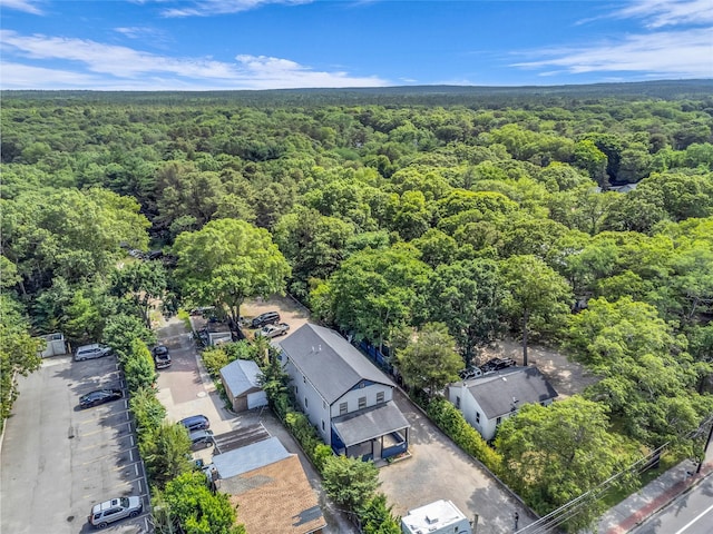 715 Flanders Rd, Flanders, NY 11901 - photo 7