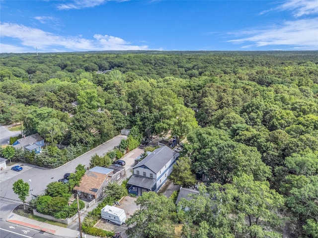 715 Flanders Rd, Flanders, NY 11901 - photo 8