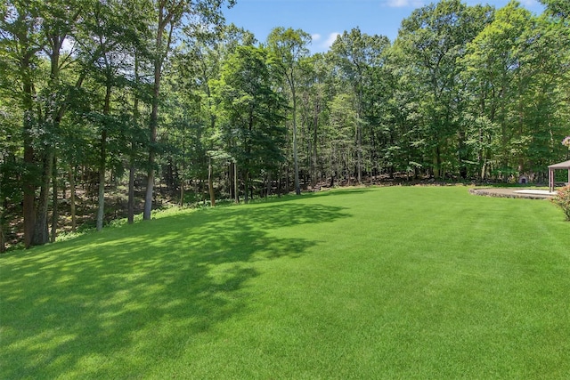 40 Shallow Stream Rd, Carmel, NY 10512 - photo 43