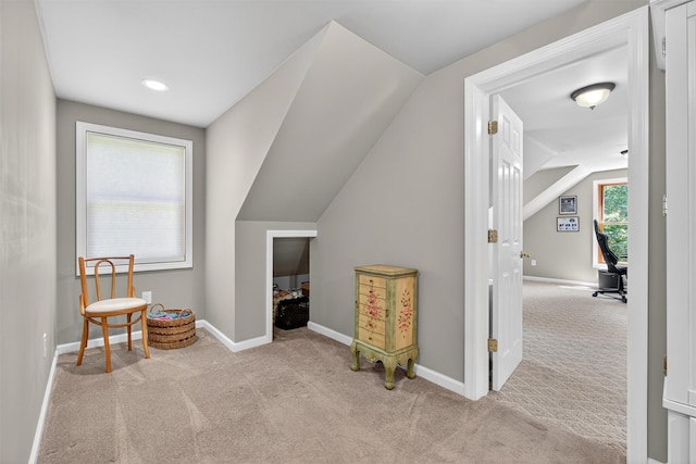 40 Shallow Stream Rd, Carmel, NY 10512 - photo 21