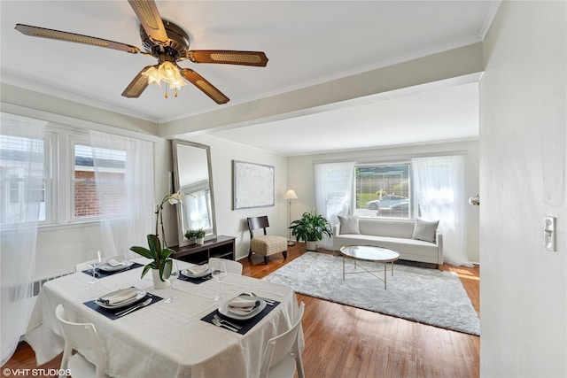 512 Nassau Blvd, Williston Park, NY 11596 - photo 2