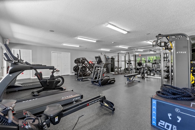 48 Sparrow Ridge Rd, Carmel, NY 10512 - gym with a textured ceiling