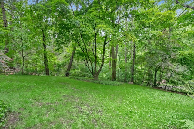 7 Kisco Park Dr, Mount Kisco, NY 10549 - photo 22