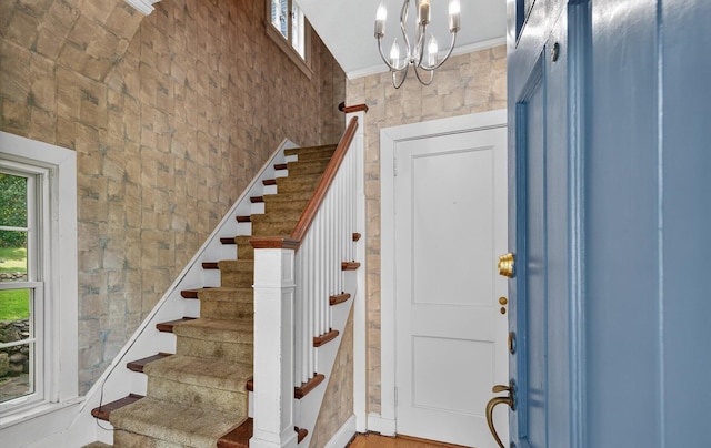 240-17 E Pine St, Douglaston, NY 11363 - photo 5
