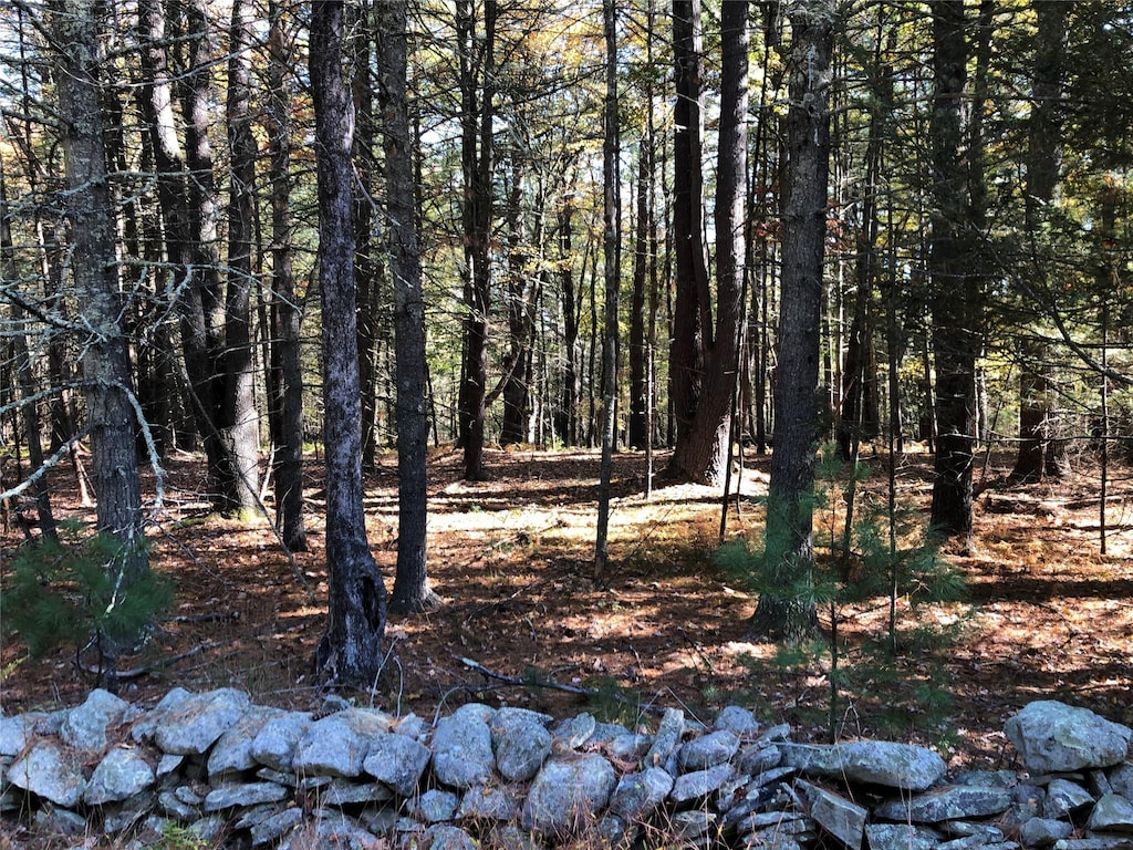 LOT1 Van Tuyl Rd, Barryville, NY 12719