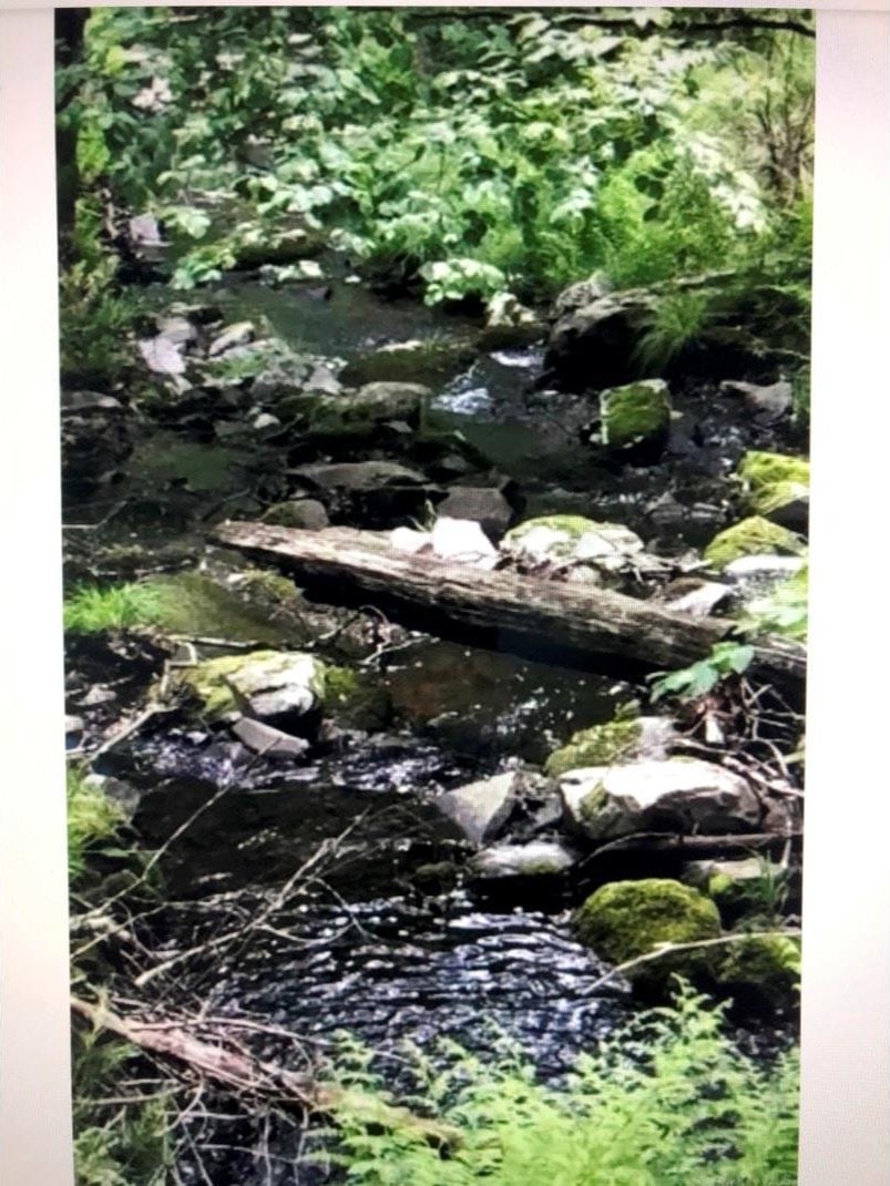 LOT1 Van Tuyl Rd, Barryville, NY 12719