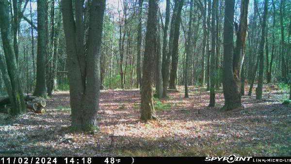 LOT1 Van Tuyl Rd, Barryville, NY 12719