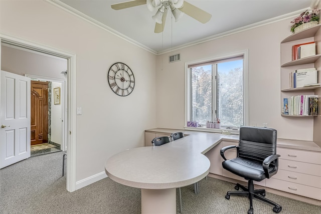 7 Bartlett Rd, Monsey, NY 10952 - photo 20