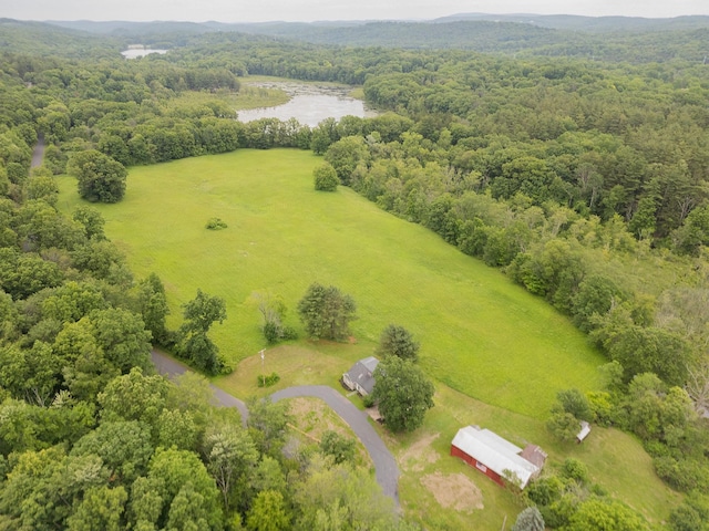 334 Lake Dr, Rhinebeck, NY 12572 - photo 30