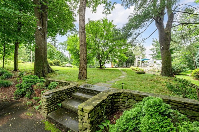 80 Grove, Harrison, NY 10528 - photo 44