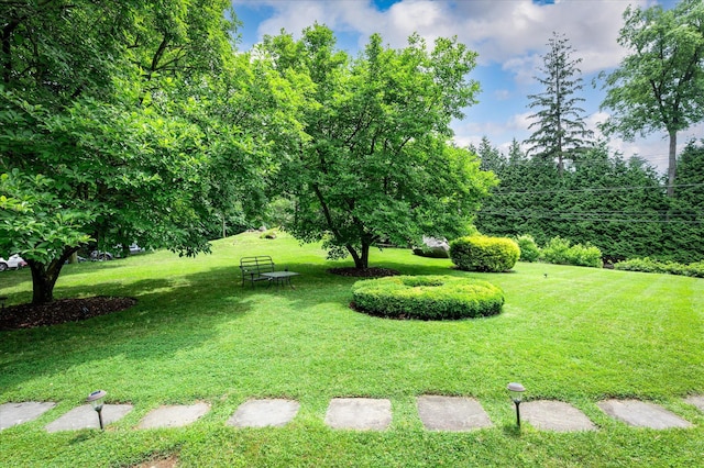 80 Grove, Harrison, NY 10528 - photo 50