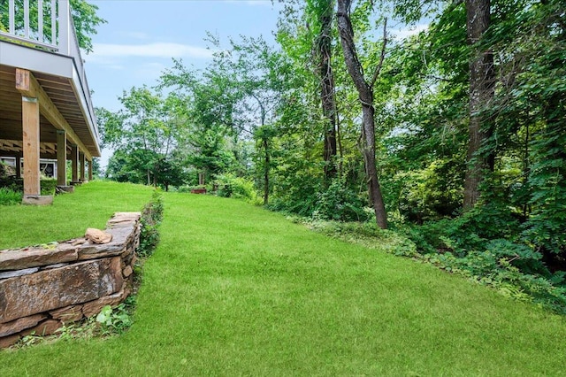 35 Summit Dr, Mahopac, NY 10541 - photo 44