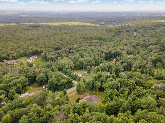 1043 Roosa Gap Rd, Pine Bush, NY 12566 - photo 46
