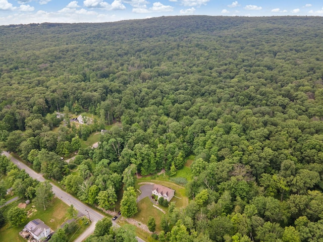 1043 Roosa Gap Rd, Pine Bush, NY 12566 - photo 47