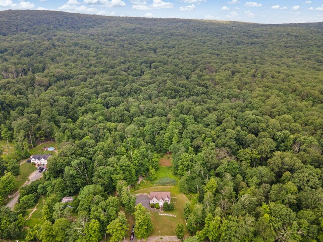 1043 Roosa Gap Rd, Pine Bush, NY 12566 - photo 48