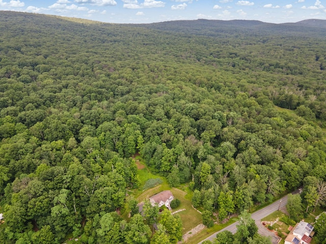 1043 Roosa Gap Rd, Pine Bush, NY 12566 - photo 49