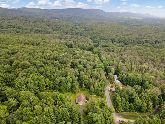 1043 Roosa Gap Rd, Pine Bush, NY 12566 - photo 50