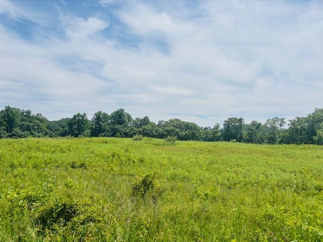 2365 Rte 83, Pine Plains, NY 12567 - photo 4