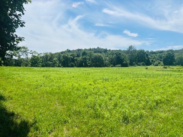 2365 Rte 83, Pine Plains, NY 12567 - photo 5