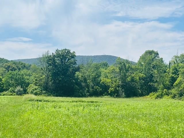 2365 Rte 83, Pine Plains, NY 12567 - photo 6
