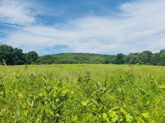 2365 Rte 83, Pine Plains, NY 12567 - photo 7
