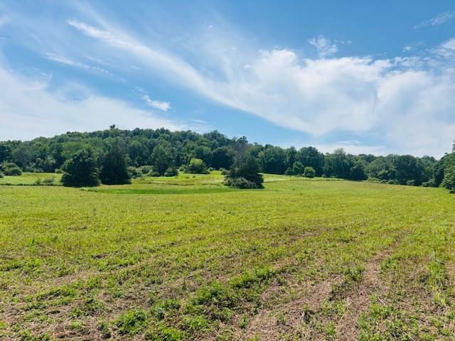 2365 Rte 83, Pine Plains, NY 12567 - photo 8