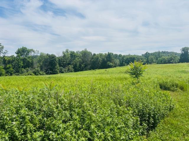 2365 Rte 83, Pine Plains, NY 12567 - photo 9