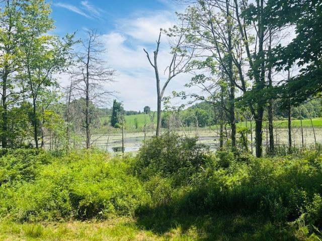2365 Rte 83, Pine Plains, NY 12567 - photo 10