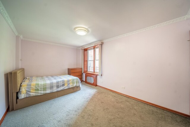62-59 108th St Unit 4N, Forest Hills, NY 11375 - bedroom featuring carpet and crown molding