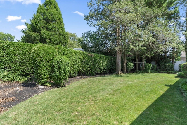 55 Laurel Dr, Massapequa Park, NY 11762 - photo 26