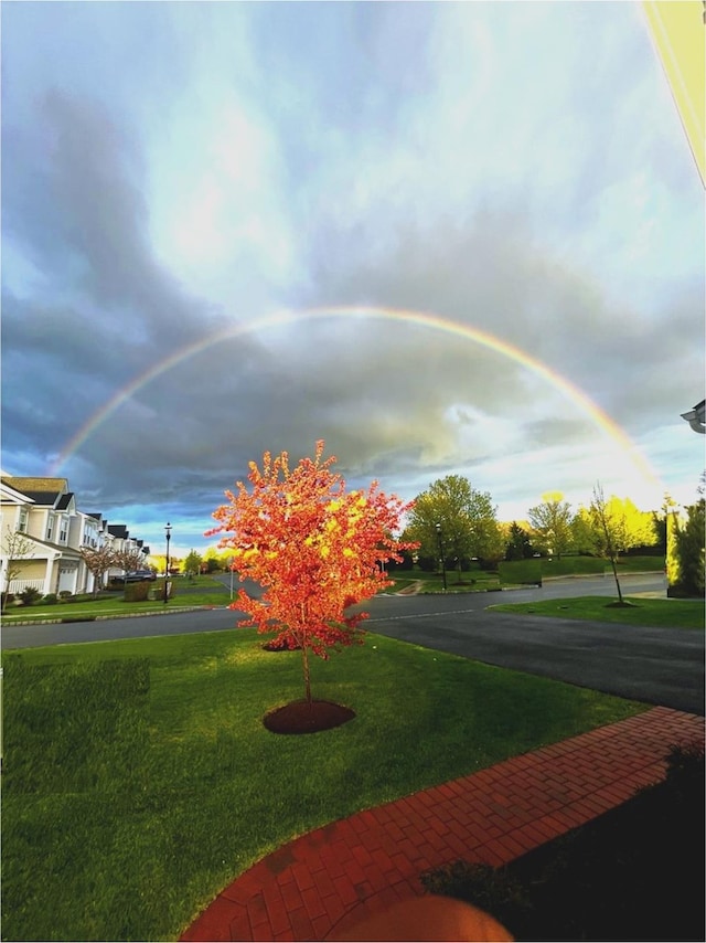 57 Lewis Rd, Hopewell Junction, NY 12533 - view of grassy yard