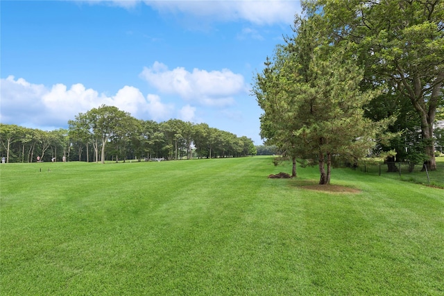 65 Lakeview Dr, Manorville, NY 11949 - photo 37