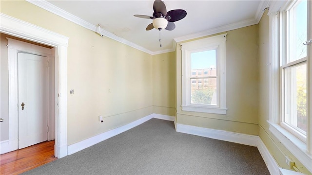 14 Hamilton Ave, New Rochelle, NY 10801 - photo 12