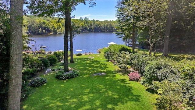342 Lake Shore Rd, Putnam Valley, NY 10579 - photo 4