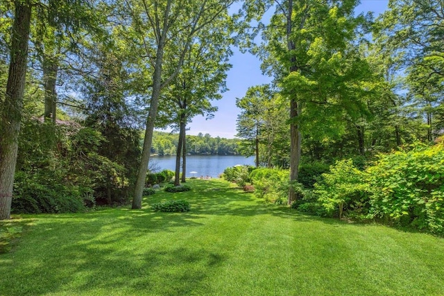 342 Lake Shore Rd, Putnam Valley, NY 10579 - photo 39