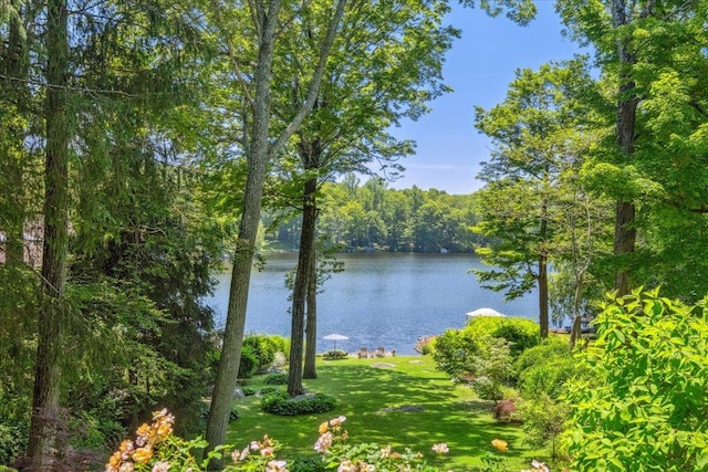 342 Lake Shore Rd, Putnam Valley, NY 10579 - photo 40